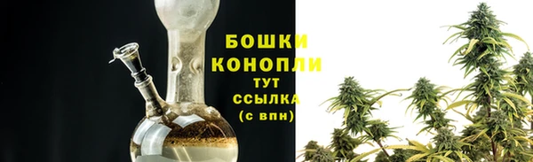 ПСИЛОЦИБИНОВЫЕ ГРИБЫ Белокуриха