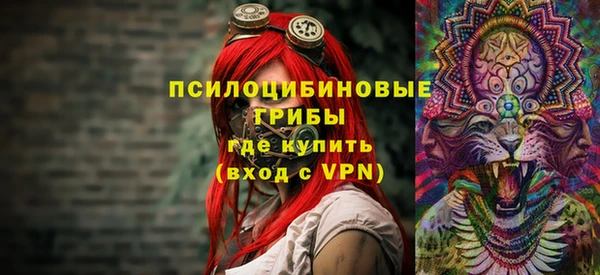 ПСИЛОЦИБИНОВЫЕ ГРИБЫ Белокуриха
