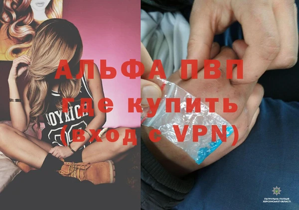 ПСИЛОЦИБИНОВЫЕ ГРИБЫ Белокуриха