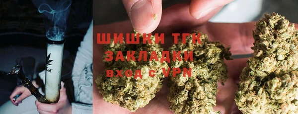 ПСИЛОЦИБИНОВЫЕ ГРИБЫ Белокуриха