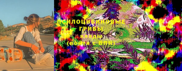 тгк Беломорск