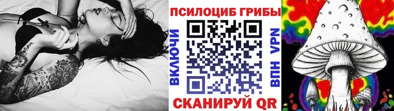магазин продажи   MEGA tor  Галлюциногенные грибы Psilocybine cubensis  Городовиковск 